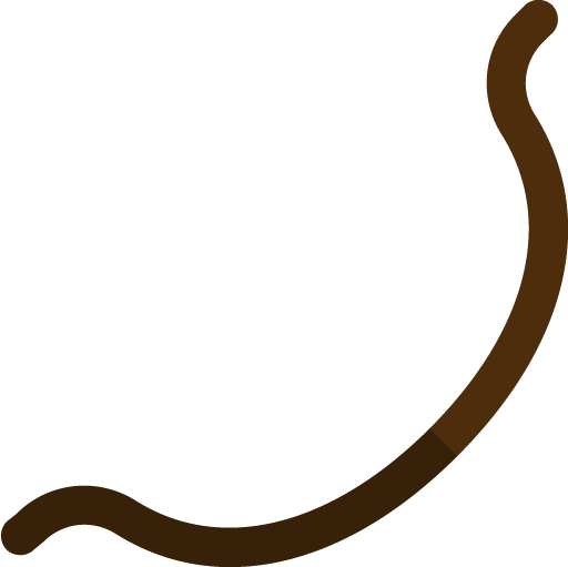 File:Yew Shortbow (u) (item).png