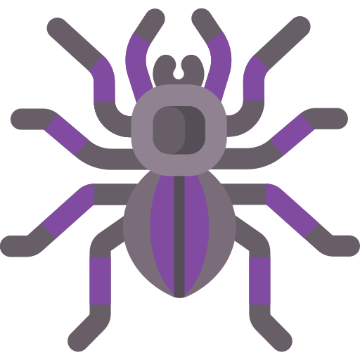 File:Wicked Spider (monster).png