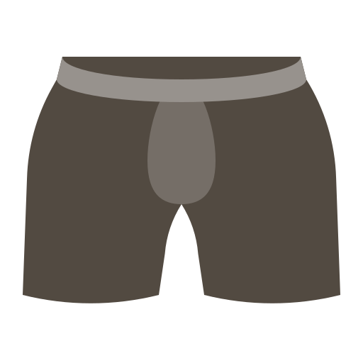 File:Old Pirate Pants (item).png