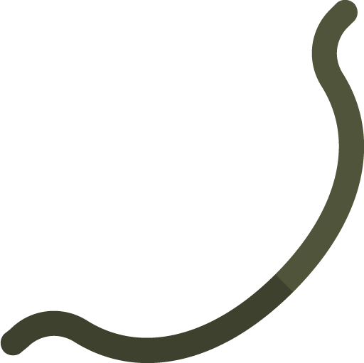 File:Willow Shortbow (u) (item).png