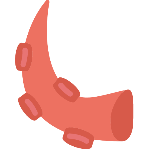 File:Tentacle (monster).png