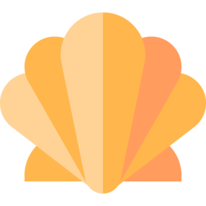 Shell (item).png