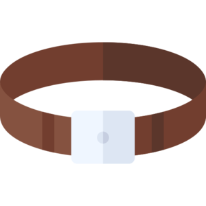 Leather Belt (item).png