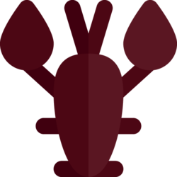 Burnt Lobster