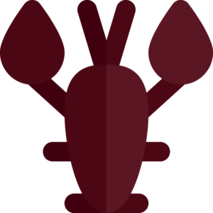 Burnt Lobster (item).png