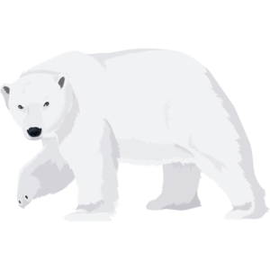 Polar Bear (monster).png