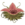 Hungry Plant (monster).png