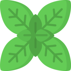 Snowcress Herb