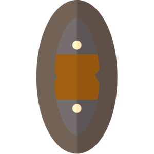 Carrion Shield (item).png