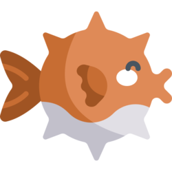 Raw Large Blowfish