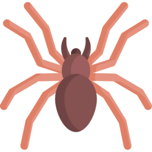 Scouter Spider (monster).png