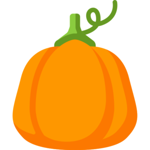 Pumpkin (item).png