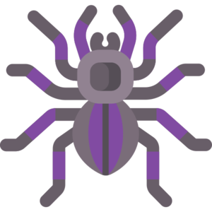 Wicked Spider (monster).png