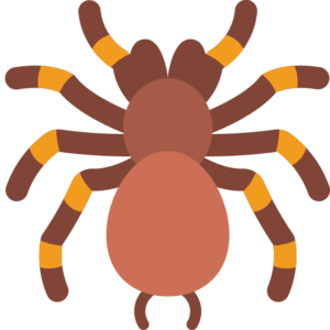 Basher Spider (monster).png