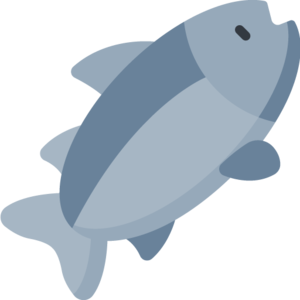 Leaping Salmon (item).png