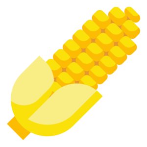 Ancient Corn (item).png
