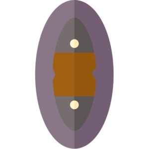 Elderwood Shield (item).png