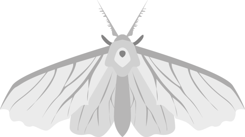 File:Giant Moth (monster).png