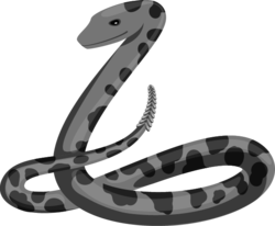 Venomous Snake (monster).png