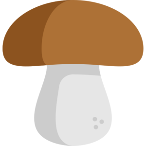 Mushrooms (item).png