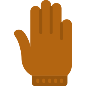 Leather Gloves (item).png