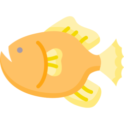 Raw Rockfish