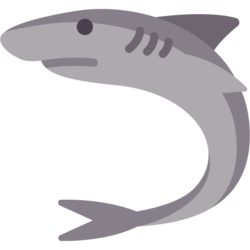 Raw Shark