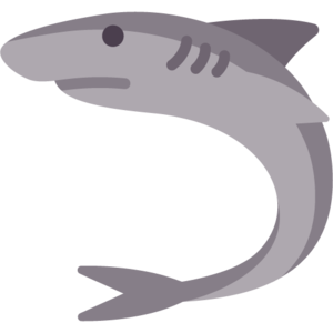 Raw Shark (item).png