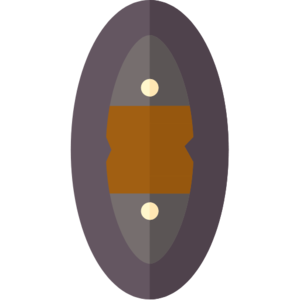 Revenant Shield (item).png
