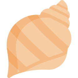 Large Shell