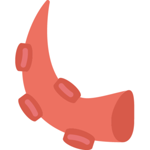 Tentacle (monster).png