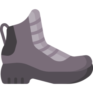 Old Boot (item).png
